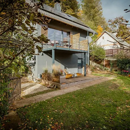 Modern With Sauna Near Thuringian Forest *