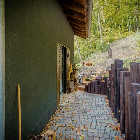 Hébergement de vacances Modern With Sauna Near Thuringian Forest *