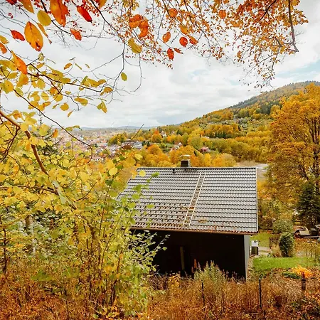 Modern With Sauna Near Thuringian Forest