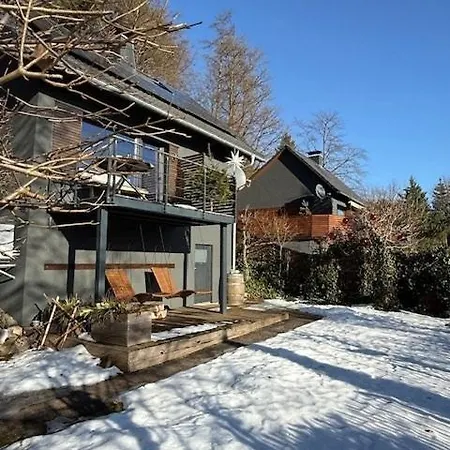 Modern With Sauna Near Thuringian Forest Hébergement de vacances Zella-Mehlis
