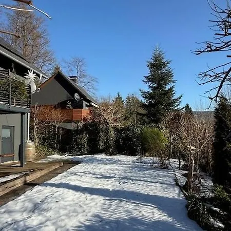 Modern With Sauna Near Thuringian Forest *