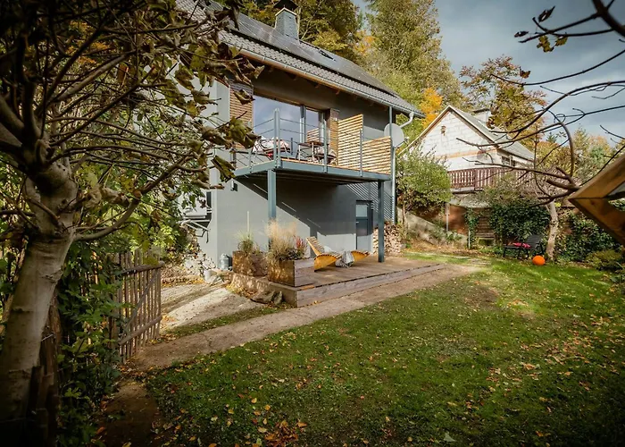 Modern With Sauna Near Thuringian Forest *