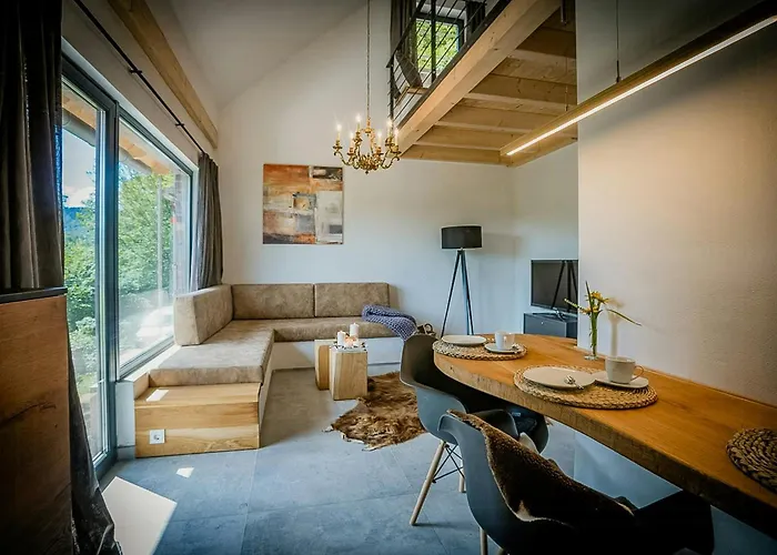 Modern With Sauna Near Thuringian Forest Tatil Evi Zella-Mehlis