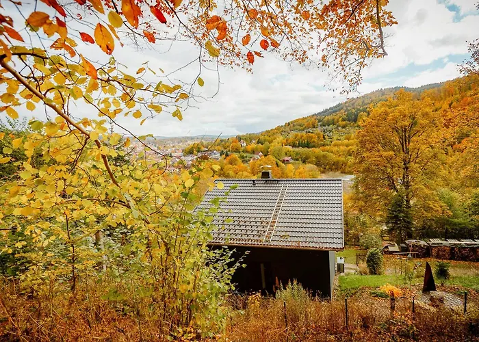 Modern With Sauna Near Thuringian Forest
