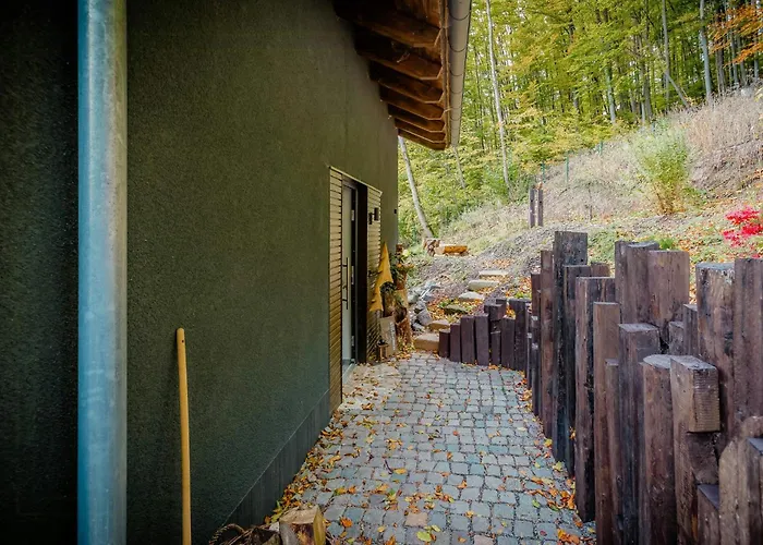 Modern With Sauna Near Thuringian Forest Zella-Mehlis