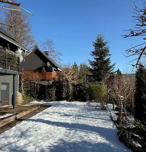 Modern With Sauna Near Thuringian Forest *