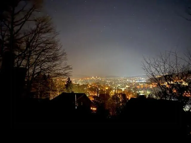 Modern With Sauna Near Thuringian Forest Tatil Evi Zella-Mehlis